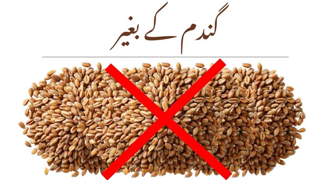 Zarfoni Wheat Free Disclaimer Label